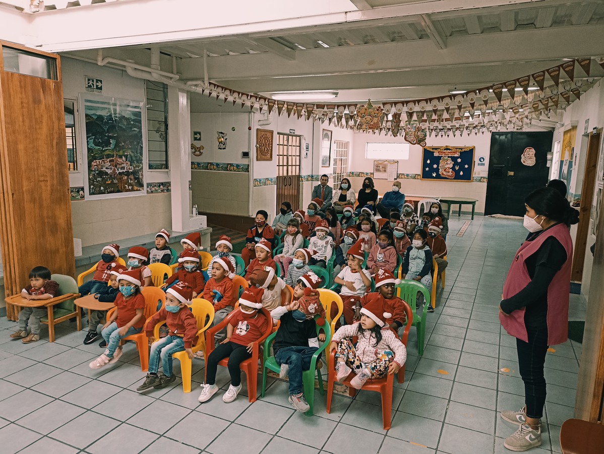 Programa Laura Vicuña